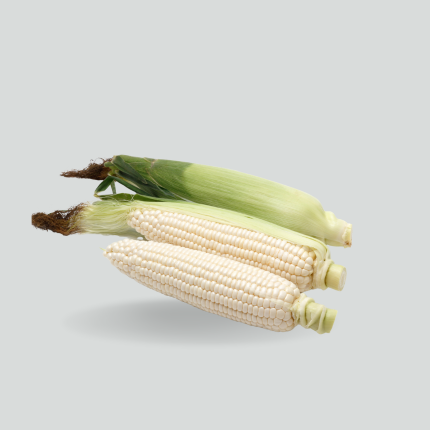 White Corn